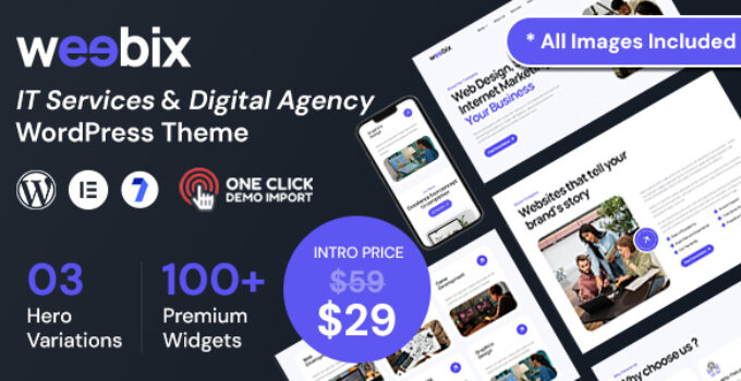 Weebix - Web Development WordPress Theme